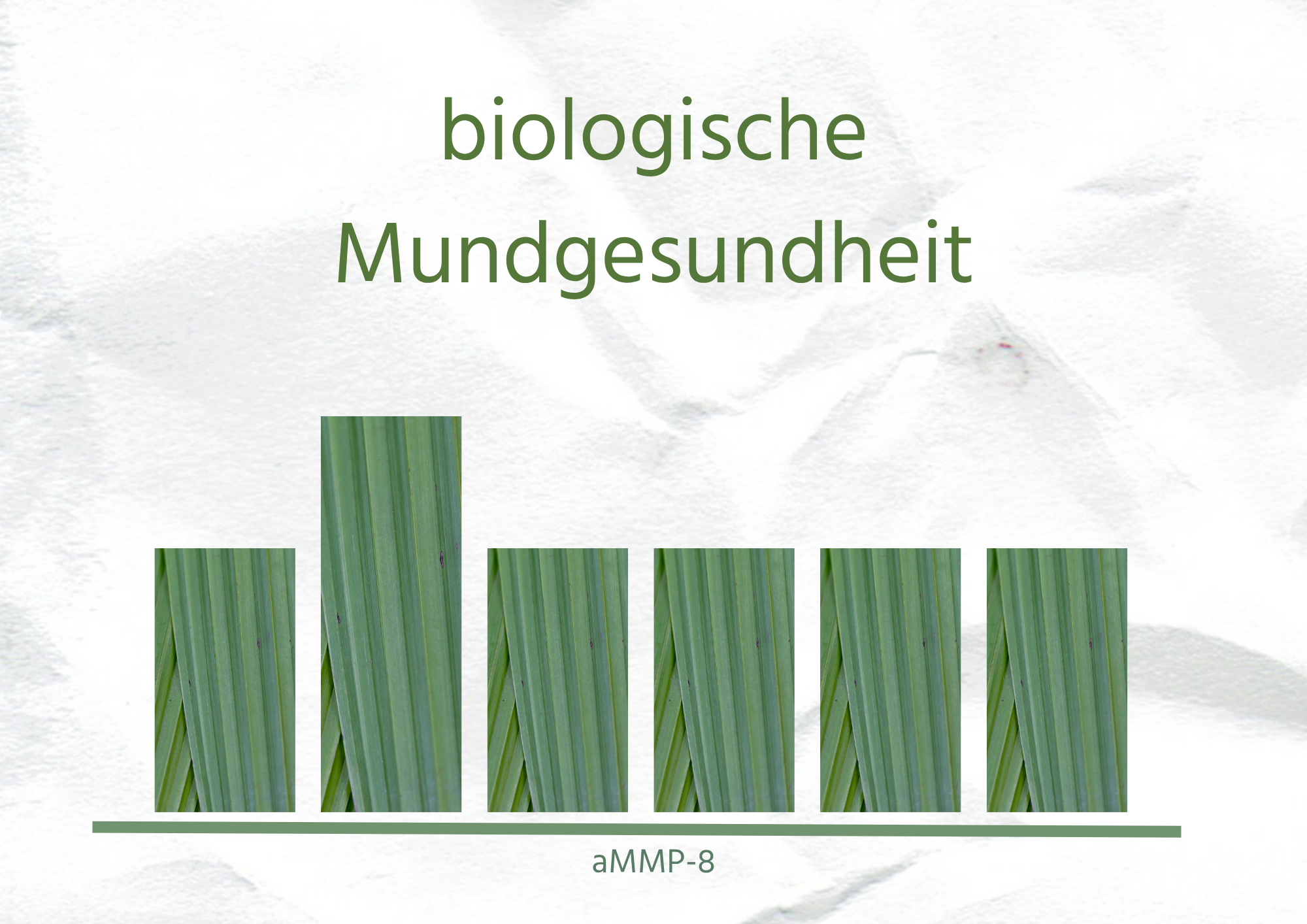 aMMP-8 Entzündungscheck