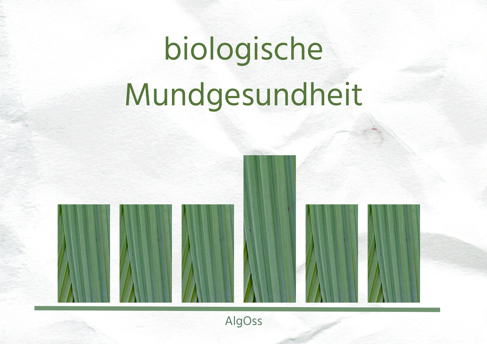 AlgOss