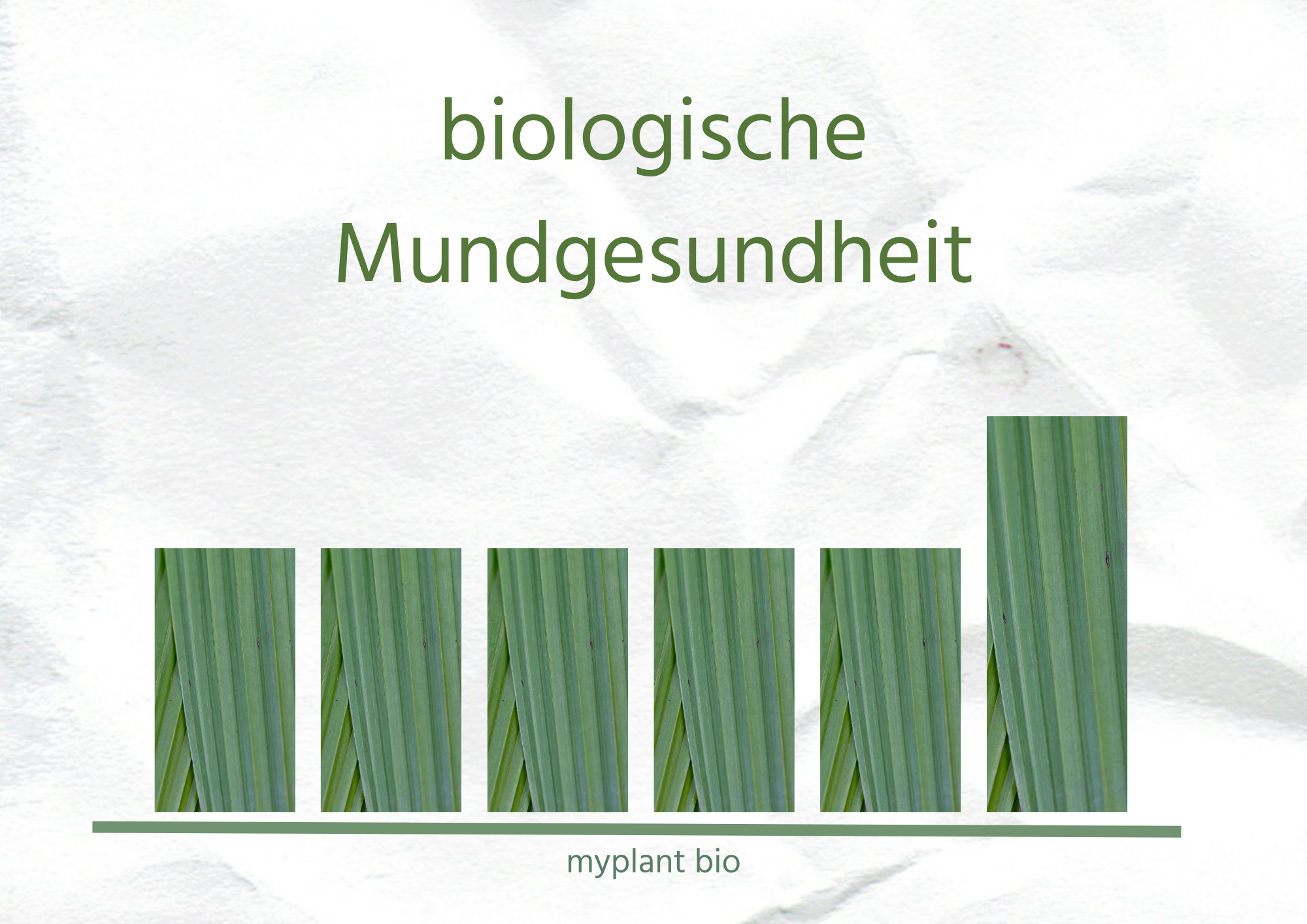 myplant bio Zahnimplantat myplant bio Zahnimplantat