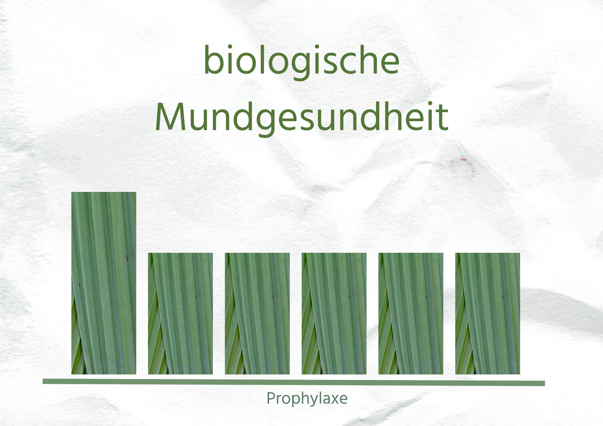 Zahnprophylaxe