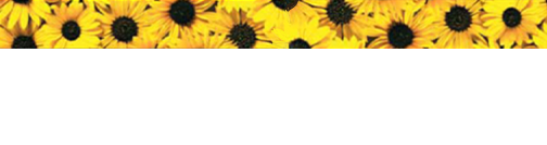 Praxis & Klinik Dr. Meiß Logo